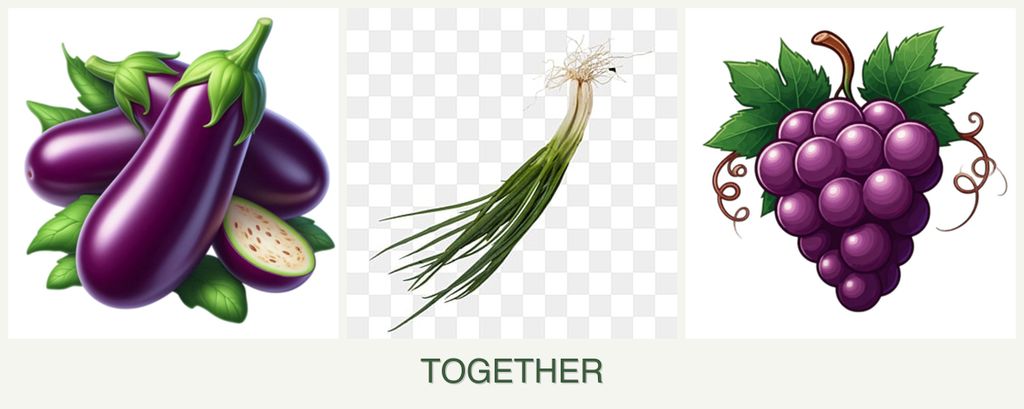Can you plant eggplant, chives and grapes together?