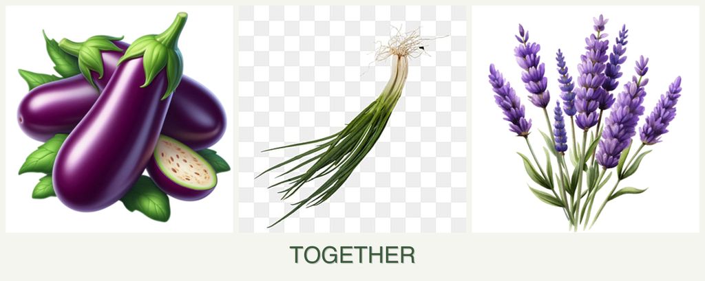 Can you plant eggplant, chives and lavender together?