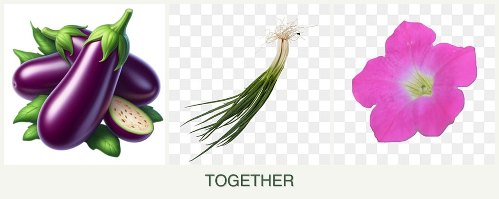Can you plant eggplant, chives and petunias together?