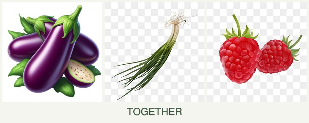 Can you plant eggplant, chives and raspberries together?