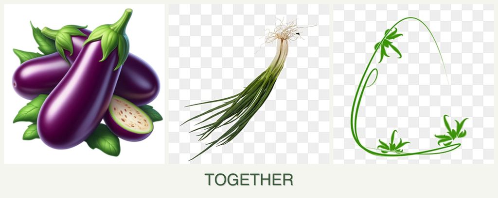 Can you plant eggplant, chives and tarragon together?