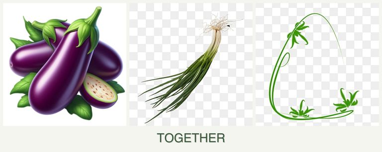 Can you plant eggplant, chives and tarragon together?