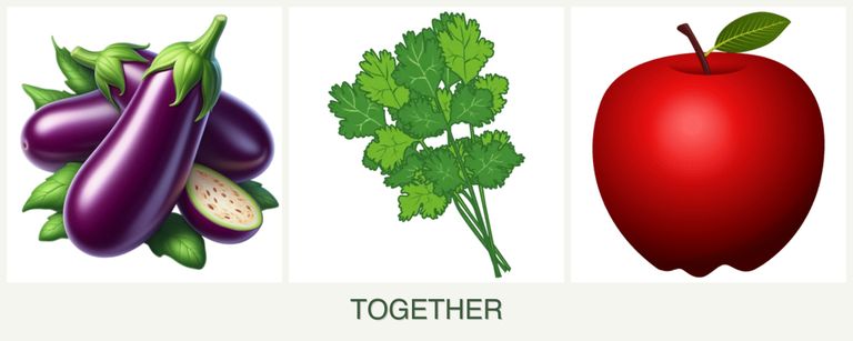 Can you plant eggplant, cilantro and apples together?