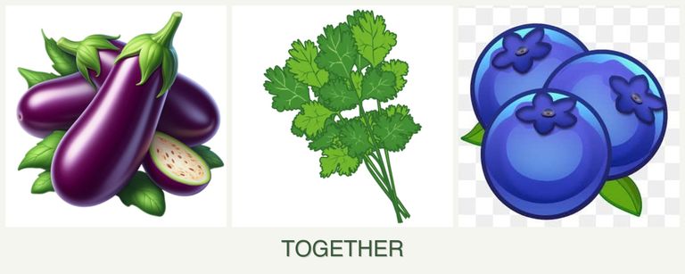 Can you plant eggplant, cilantro and blueberries together?