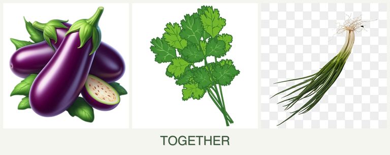 Can you plant eggplant, cilantro and chives together?