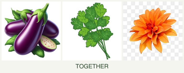 Can you plant eggplant, cilantro and dahlias together?