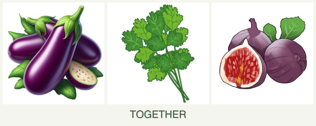 Can you plant eggplant, cilantro and figs together?