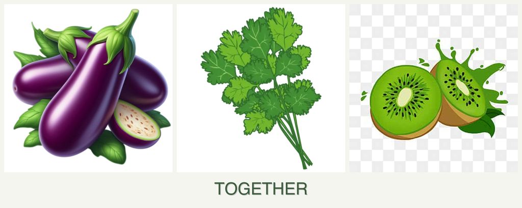 Can you plant eggplant, cilantro and kiwi together?