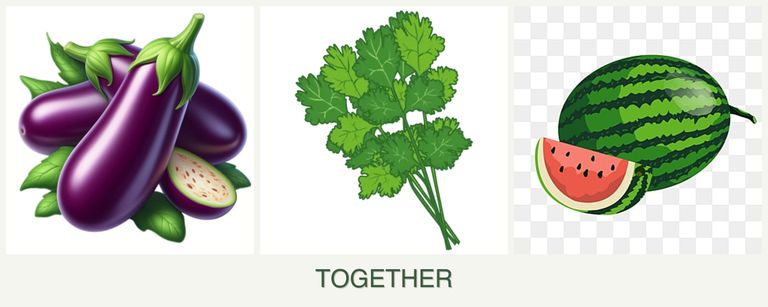 Can you plant eggplant, cilantro and melons together?