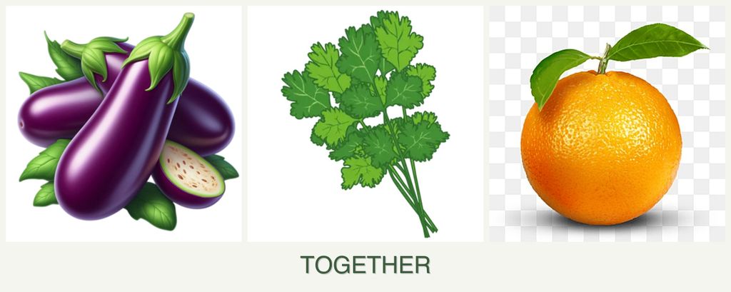 Can you plant eggplant, cilantro and oranges together?