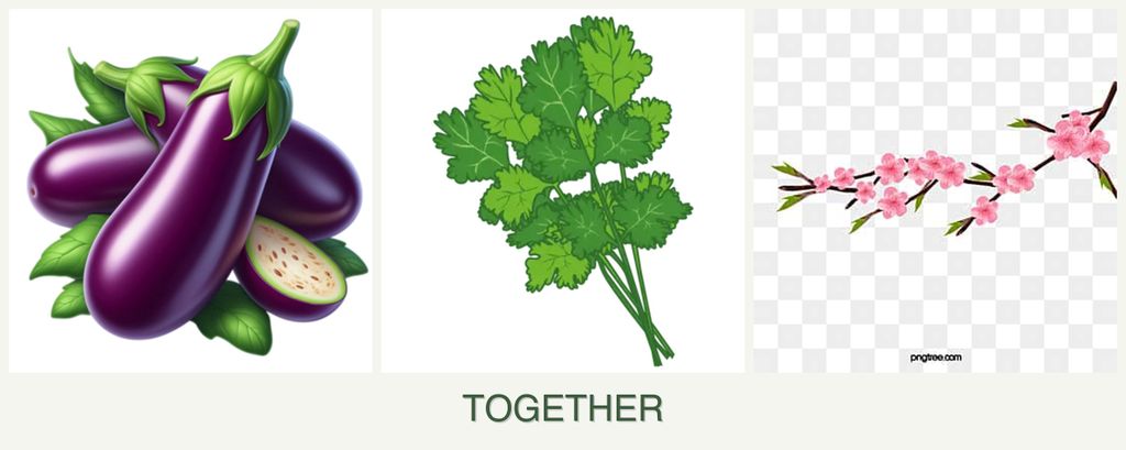 Can you plant eggplant, cilantro and peaches together?