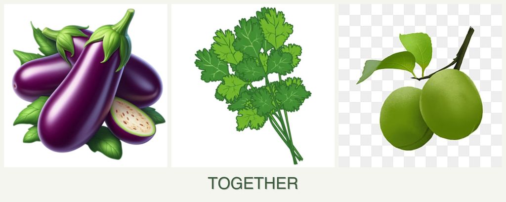 Can you plant eggplant, cilantro and plums together?