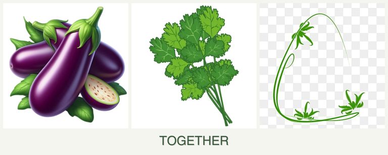 Can you plant eggplant, cilantro and tarragon together?
