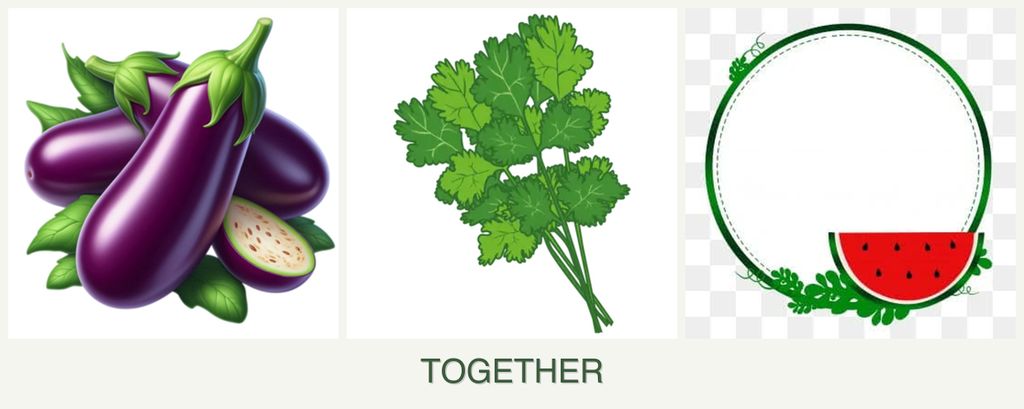 Can you plant eggplant, cilantro and watermelons together?