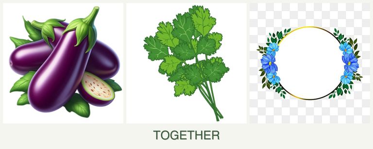 Can you plant eggplant, cilantro and zinnias together?