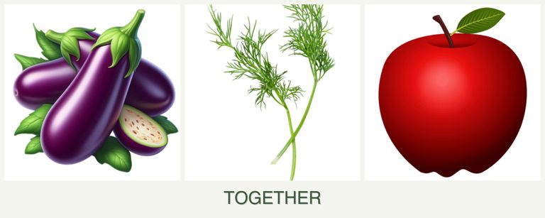 Can you plant eggplant, dill and apples together?