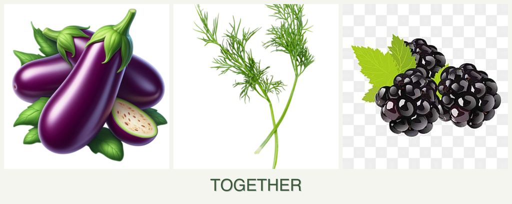 Can you plant eggplant, dill and blackberries together?