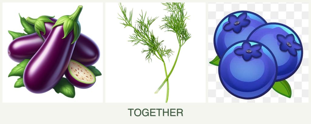 Can you plant eggplant, dill and blueberries together?