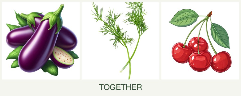 Can you plant eggplant, dill and cherries together?