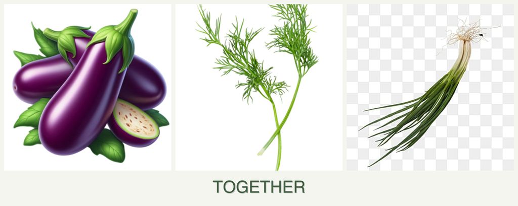 Can you plant eggplant, dill and chives together?