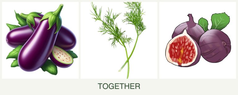 Can you plant eggplant, dill and figs together?