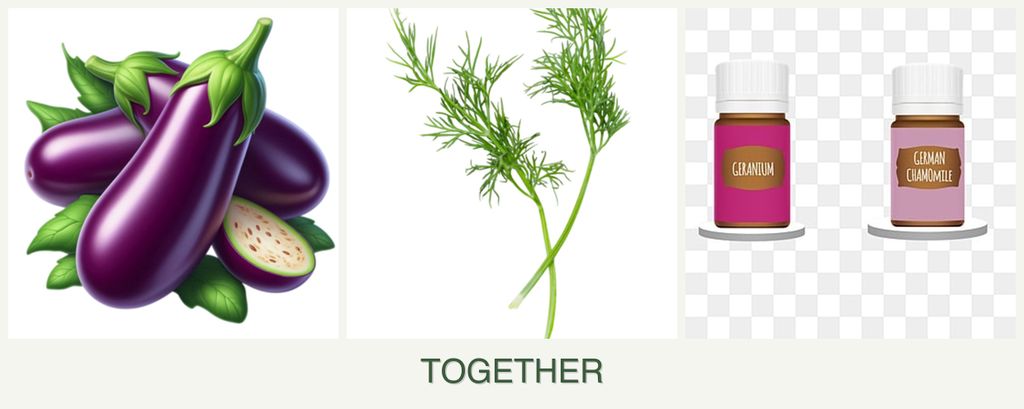Can you plant eggplant, dill and geraniums together?