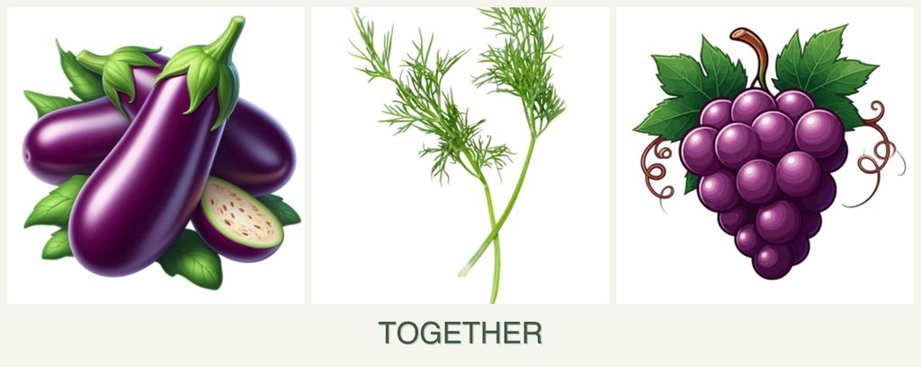 Can you plant eggplant, dill and grapes together?