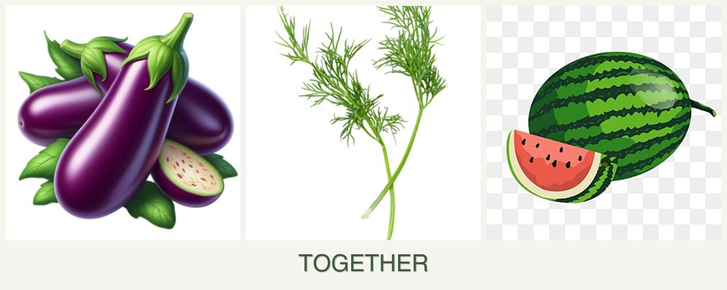 Can you plant eggplant, dill and melons together?