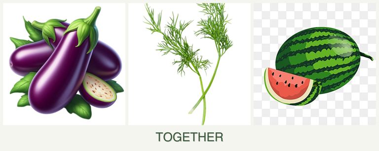 Can you plant eggplant, dill and melons together?