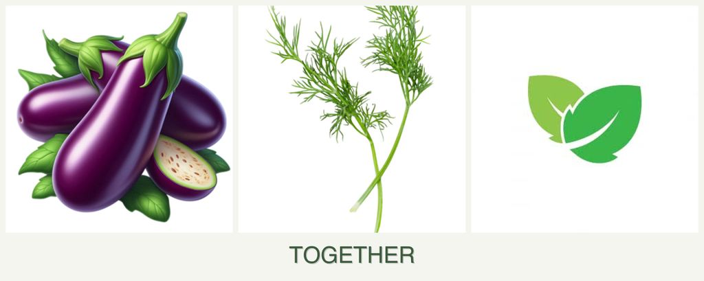 Can you plant eggplant, dill and mint together?