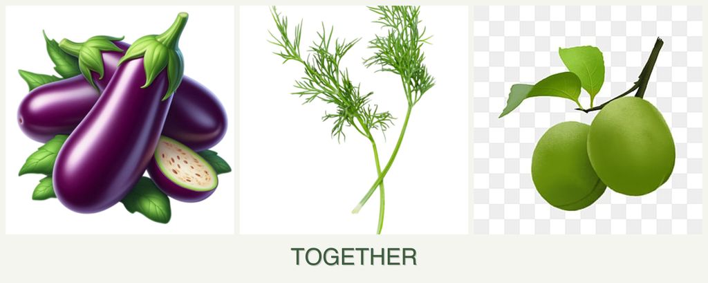 Can you plant eggplant, dill and plums together?
