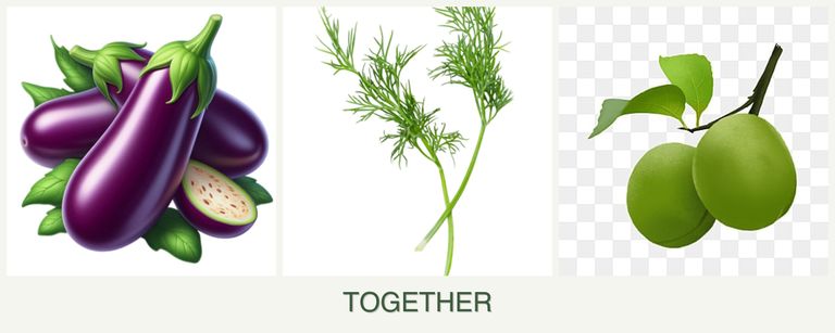 Can you plant eggplant, dill and plums together?