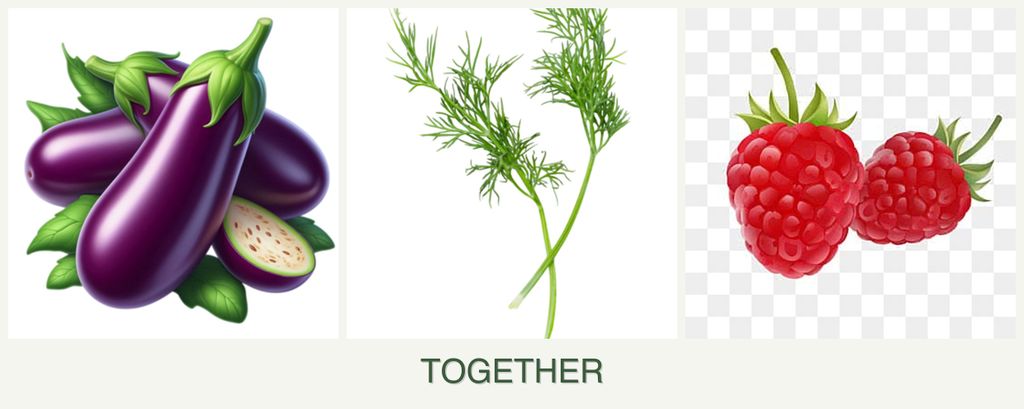 Can you plant eggplant, dill and raspberries together?