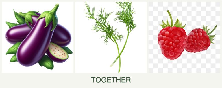 Can you plant eggplant, dill and raspberries together?