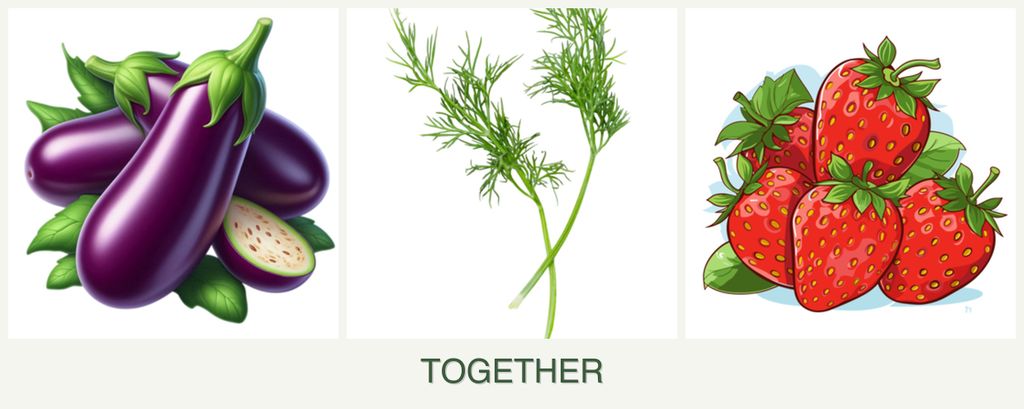 Can you plant eggplant, dill and strawberries together?