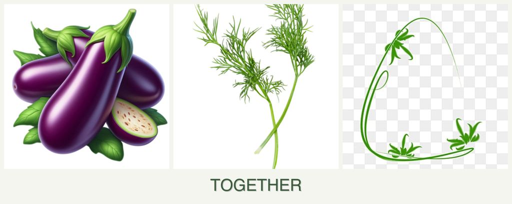 Can you plant eggplant, dill and tarragon together?