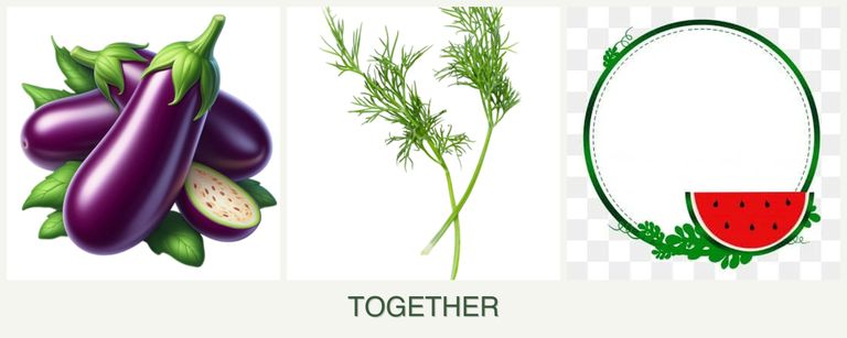 Can you plant eggplant, dill and watermelons together?