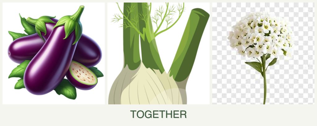 Can you plant eggplant, fennel and alyssum together?