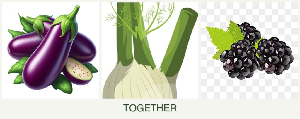 Can you plant eggplant, fennel and blackberries together?
