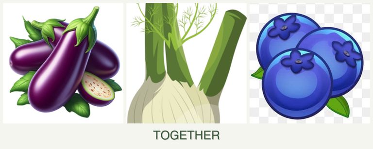 Can you plant eggplant, fennel and blueberries together?