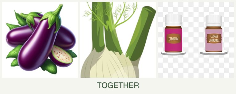 Can you plant eggplant, fennel and geraniums together?