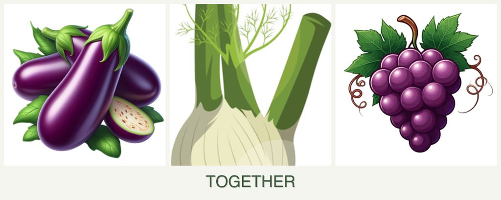 Can you plant eggplant, fennel and grapes together?