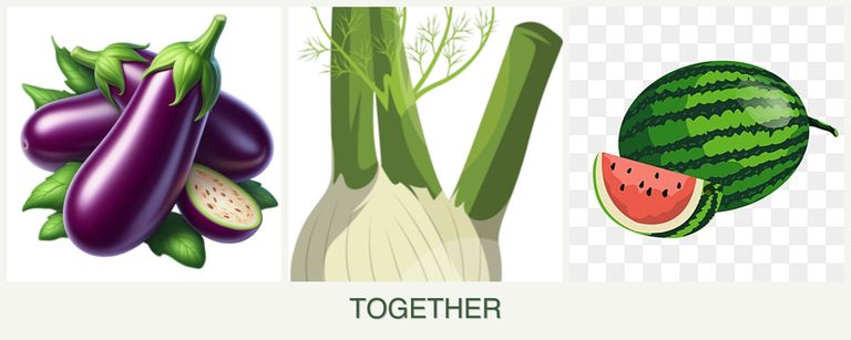Can you plant eggplant, fennel and melons together?