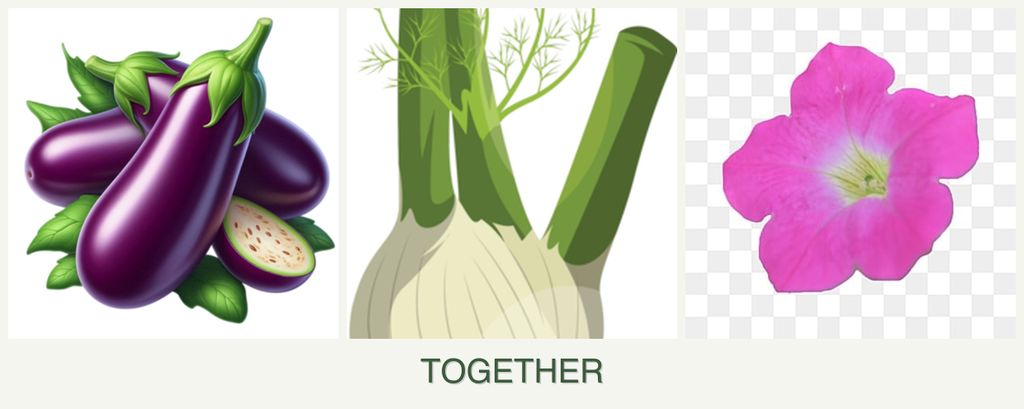 Can you plant eggplant, fennel and petunias together?