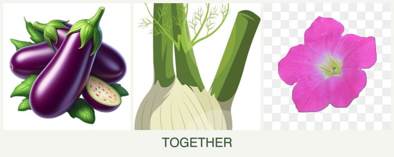Can you plant eggplant, fennel and petunias together?
