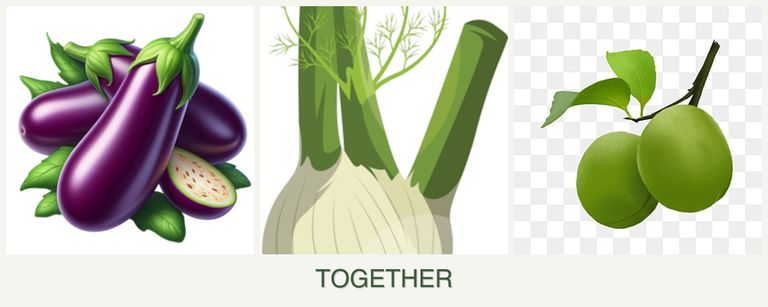 Can you plant eggplant, fennel and plums together?