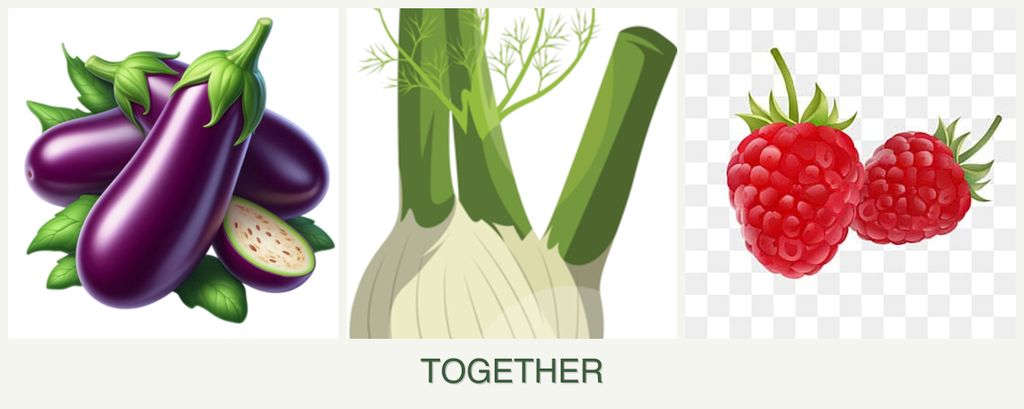 Can you plant eggplant, fennel and raspberries together?