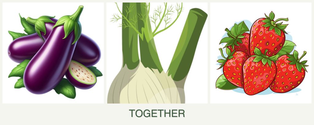 Can you plant eggplant, fennel and strawberries together?