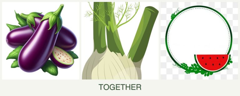 Can you plant eggplant, fennel and watermelons together?