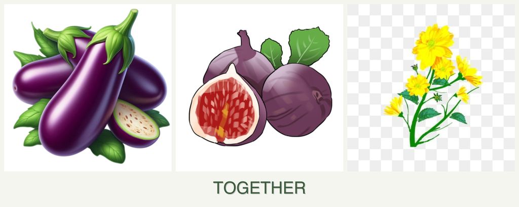 Can you plant eggplant, figs and calendula together?